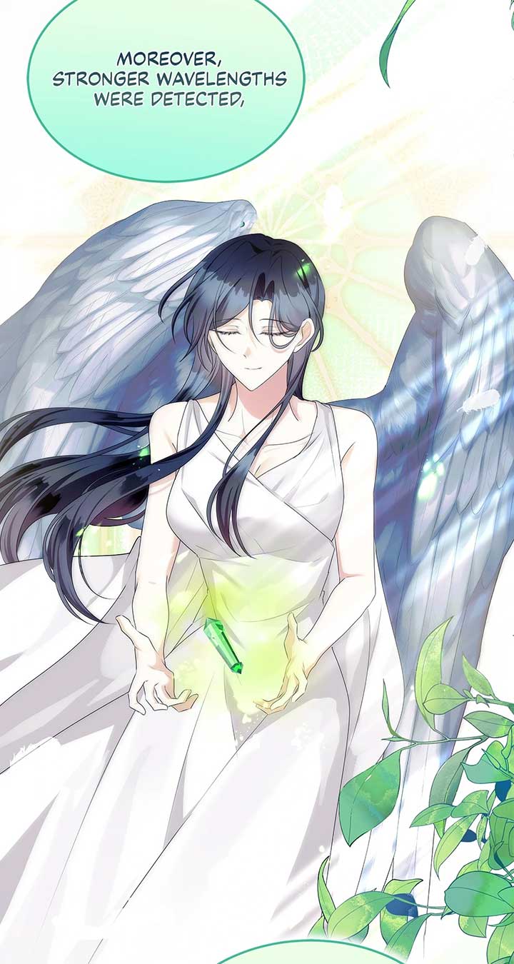ch 41 66