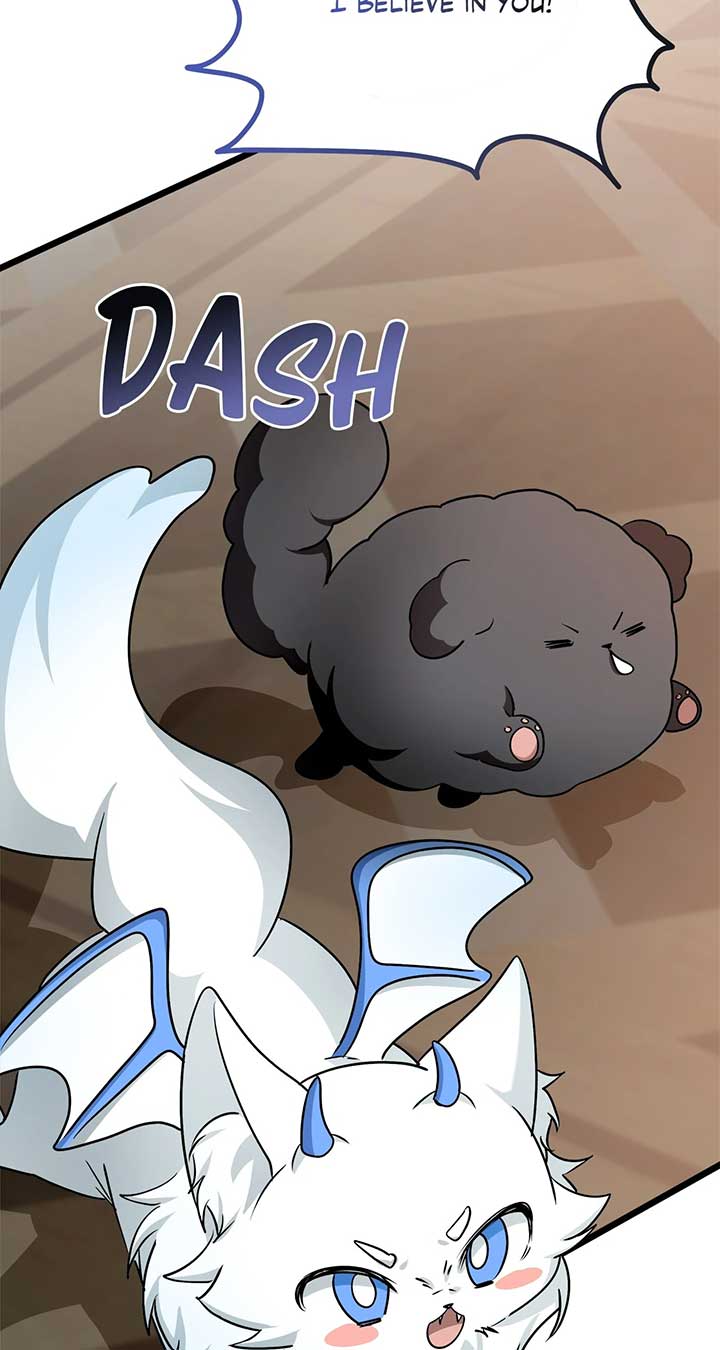 ch 55 20