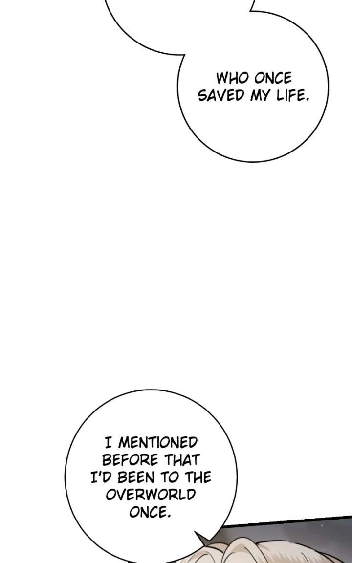 ch 82 28
