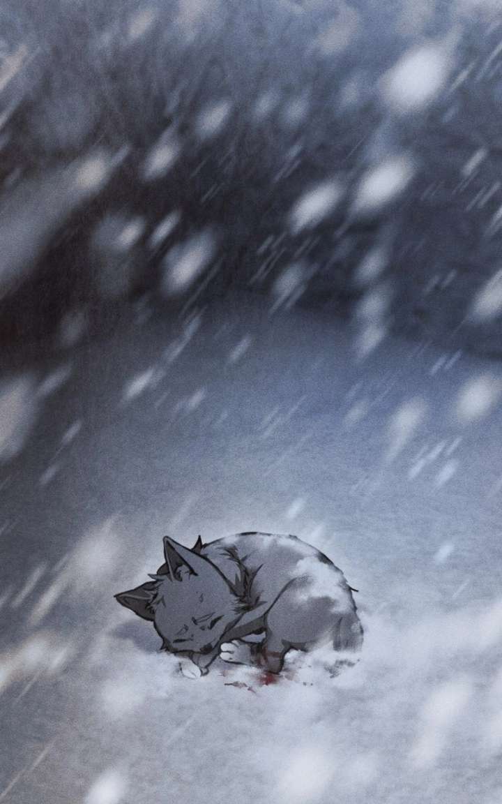 ch 82 31
