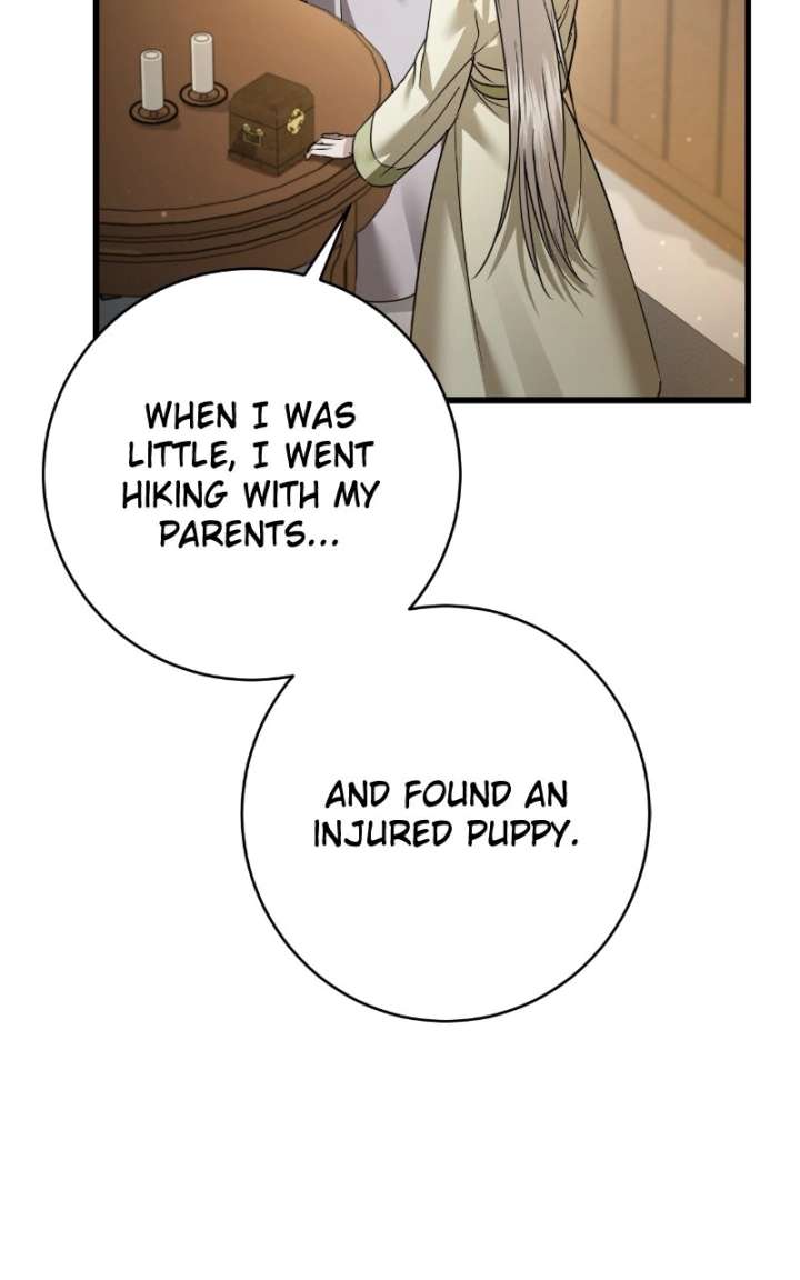 ch 82 42