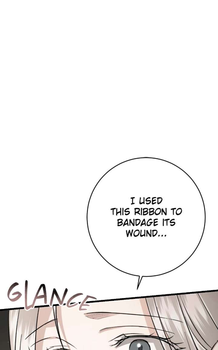 ch 82 43