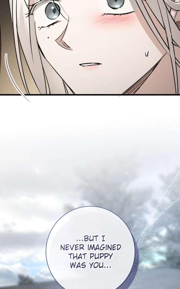 ch 82 44