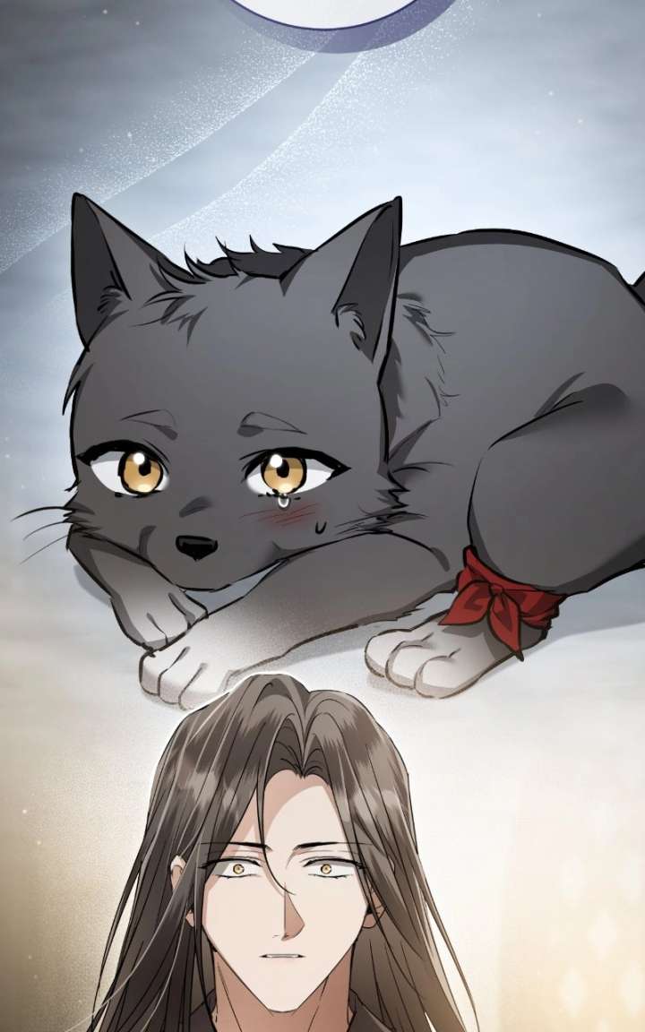 ch 82 45