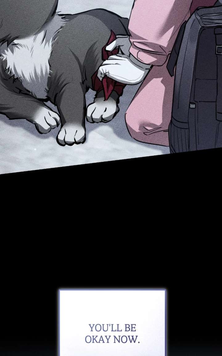 ch 82 48