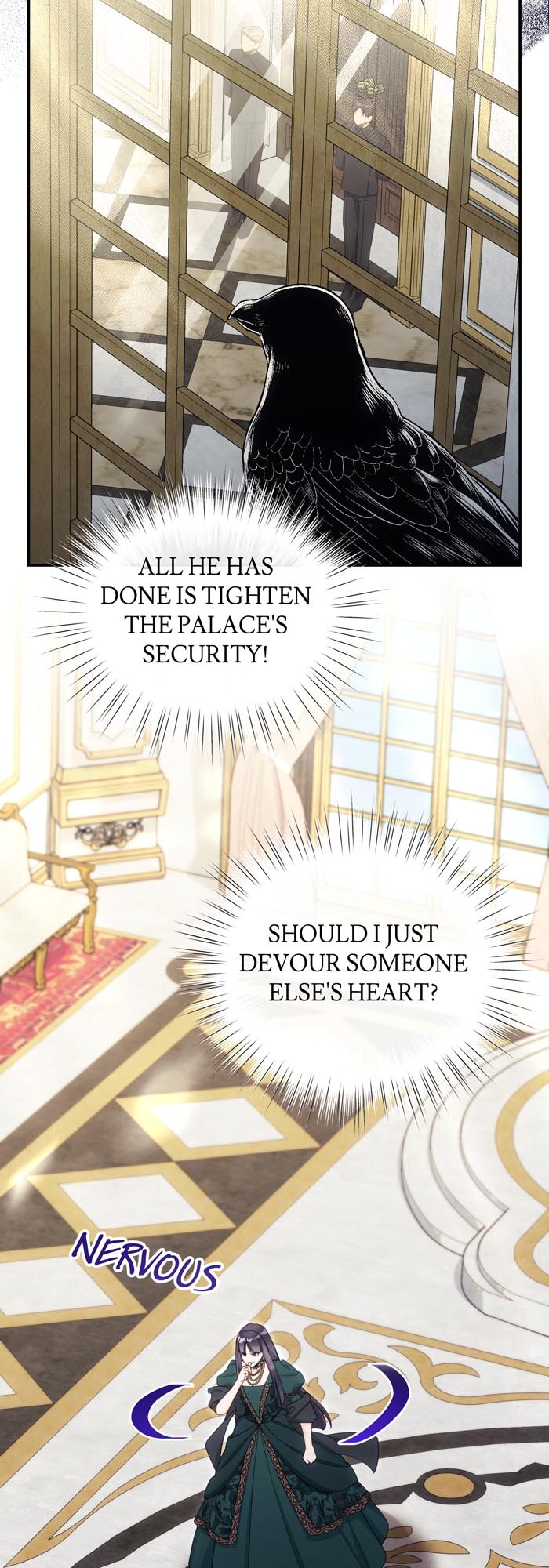 ch 61 55