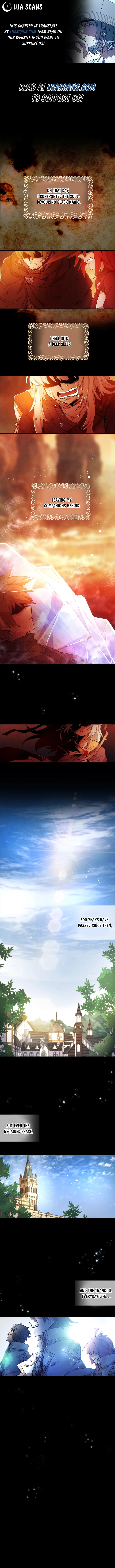 The Great Mage of the Hero’s Party Reincarnates Chapter 0 71 01