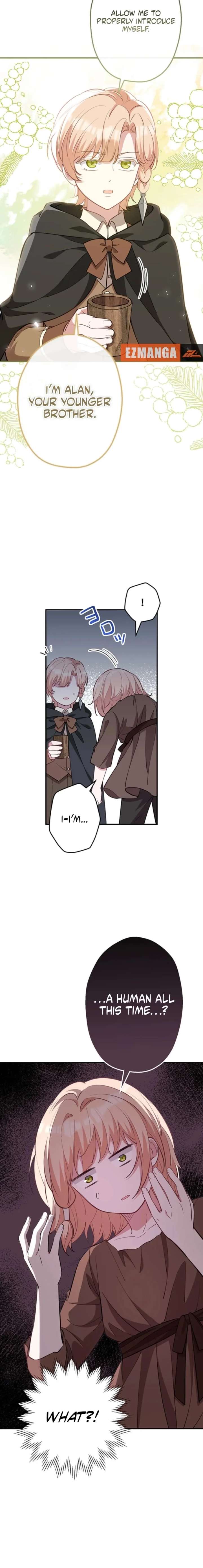 ch 86 6