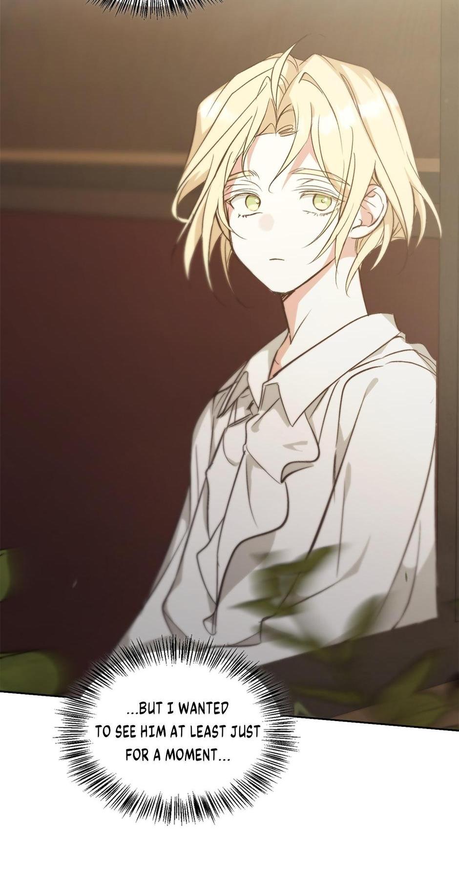 ch 51 74