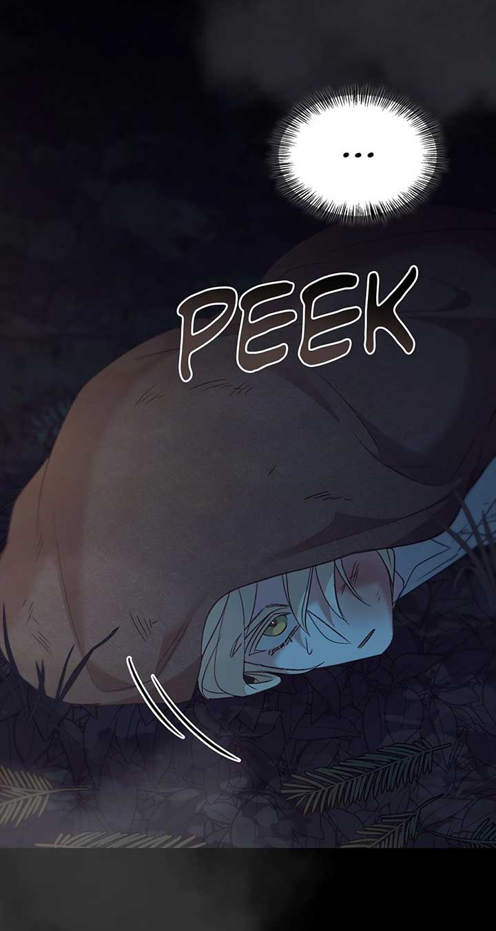 ch 75 31
