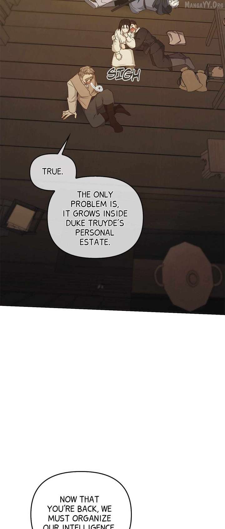ch 95 27