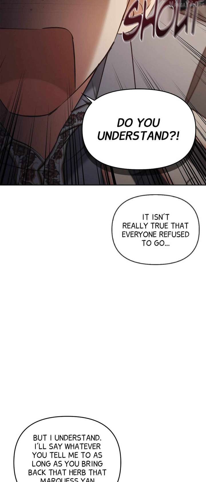 ch 95 36