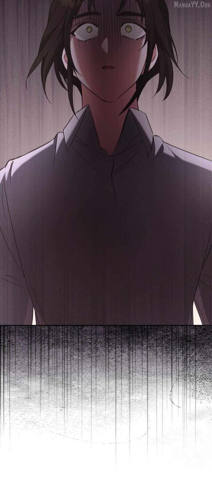 ch 95 46
