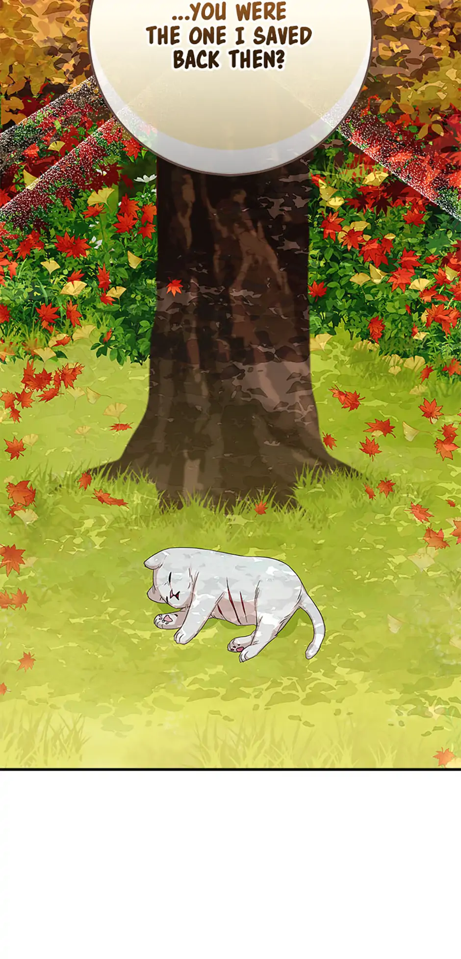 Bluebird Lady and The White Lion Family Chapter 34 369 ch 34 89