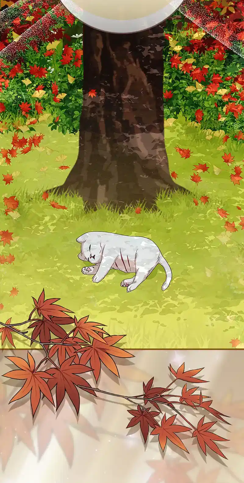 Bluebird Lady and The White Lion Family Chapter 35 238 ch 35 3