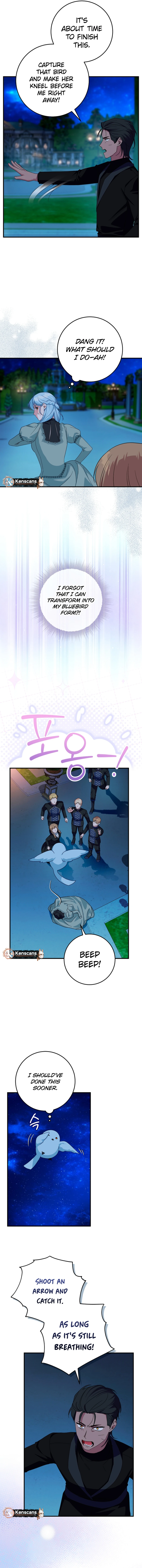 ch 55 6