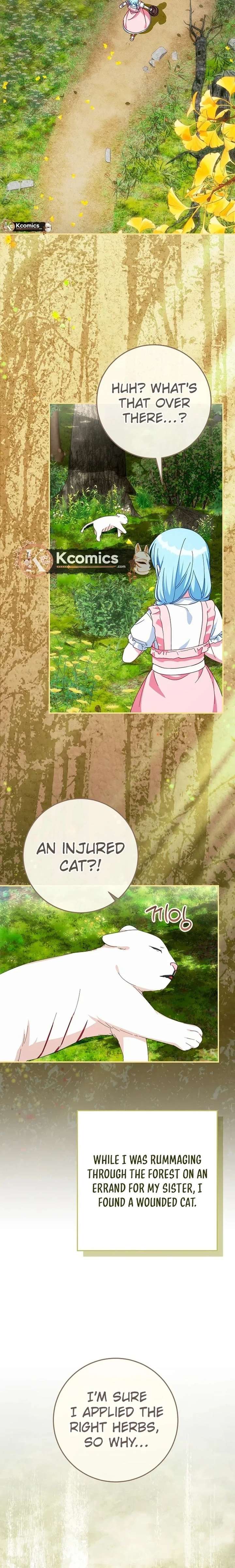 ch 75 6