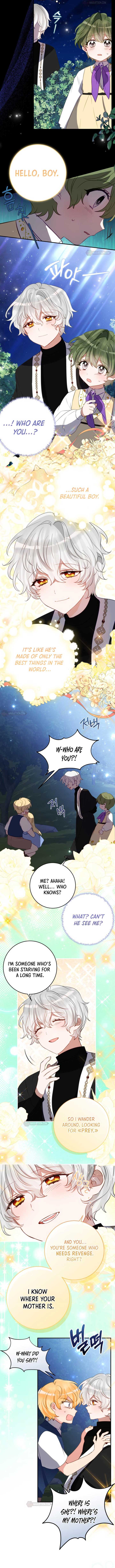 ch 48 5
