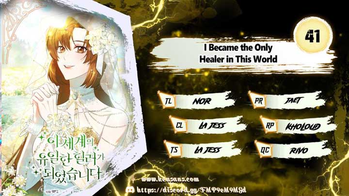 I Became the Only Healer in This World Chapter 41 41 ch 41 1