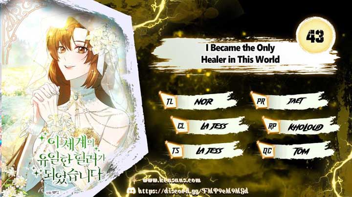 I Became the Only Healer in This World Chapter 43 41 ch 43 1