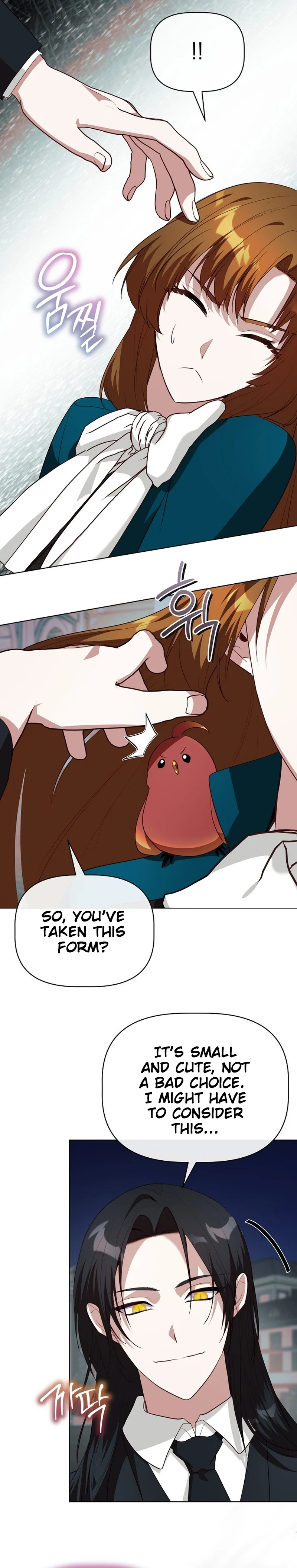 ch 48 17