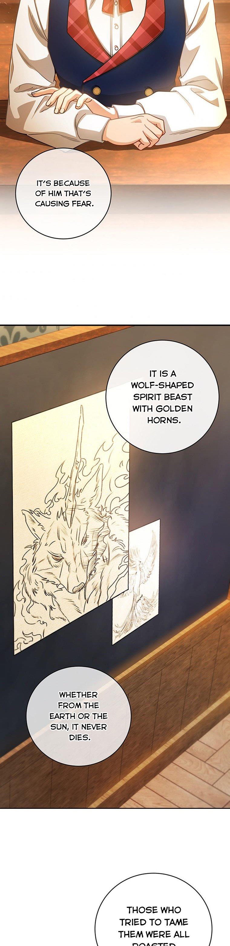 It’s My Destiny To Be The Hero’s Saviour Chapter 18 153 19