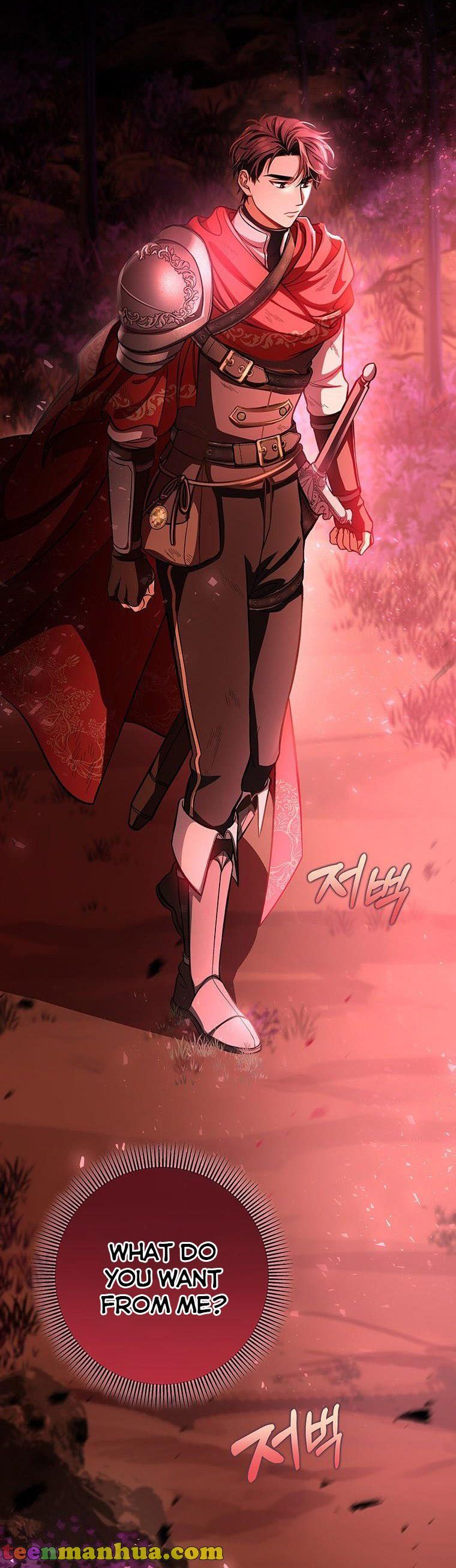 It’s My Destiny To Be The Hero’s Saviour Chapter 32 190 38
