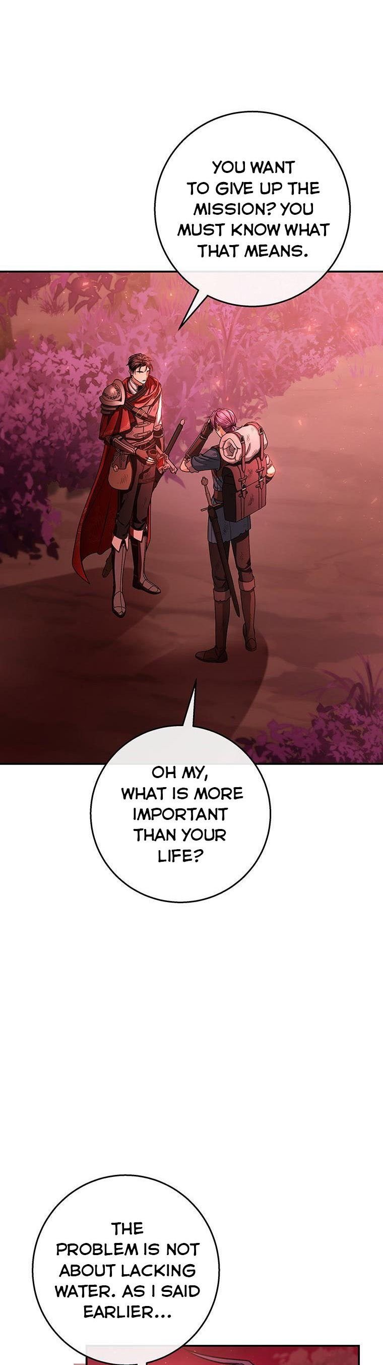 It’s My Destiny To Be The Hero’s Saviour Chapter 32 193 41