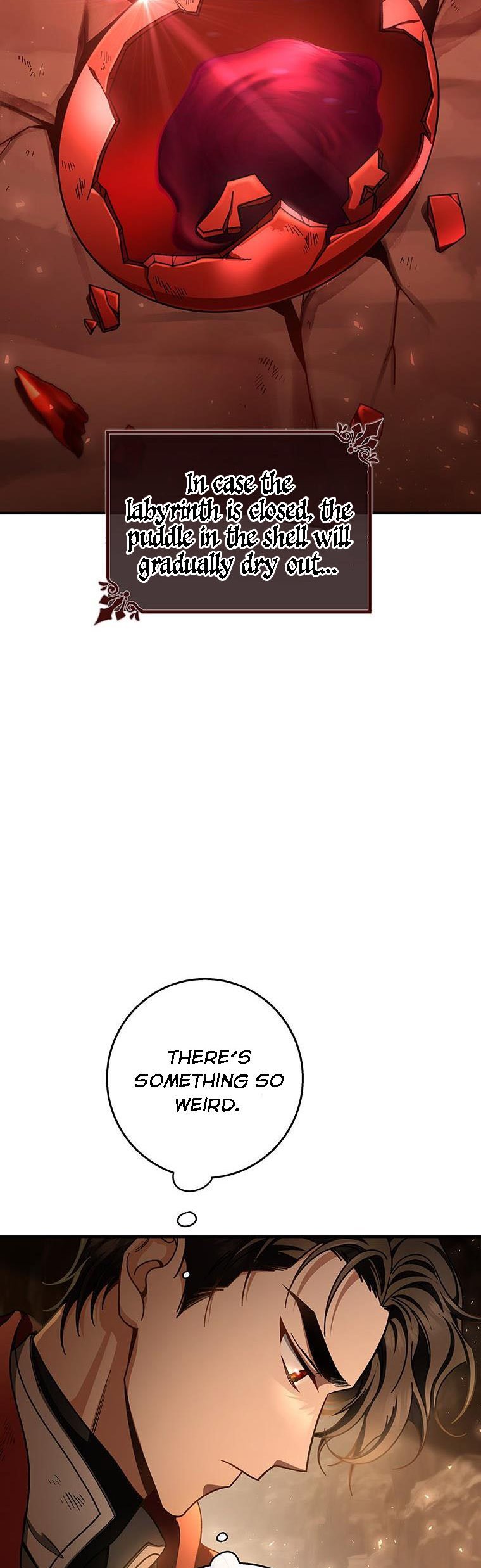 It’s My Destiny To Be The Hero’s Saviour Chapter 33 190 039