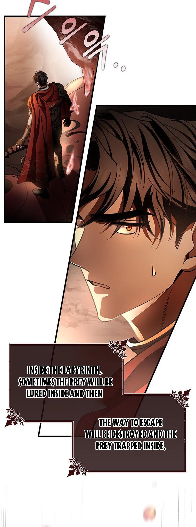 It’s My Destiny To Be The Hero’s Saviour Chapter 33 196 045