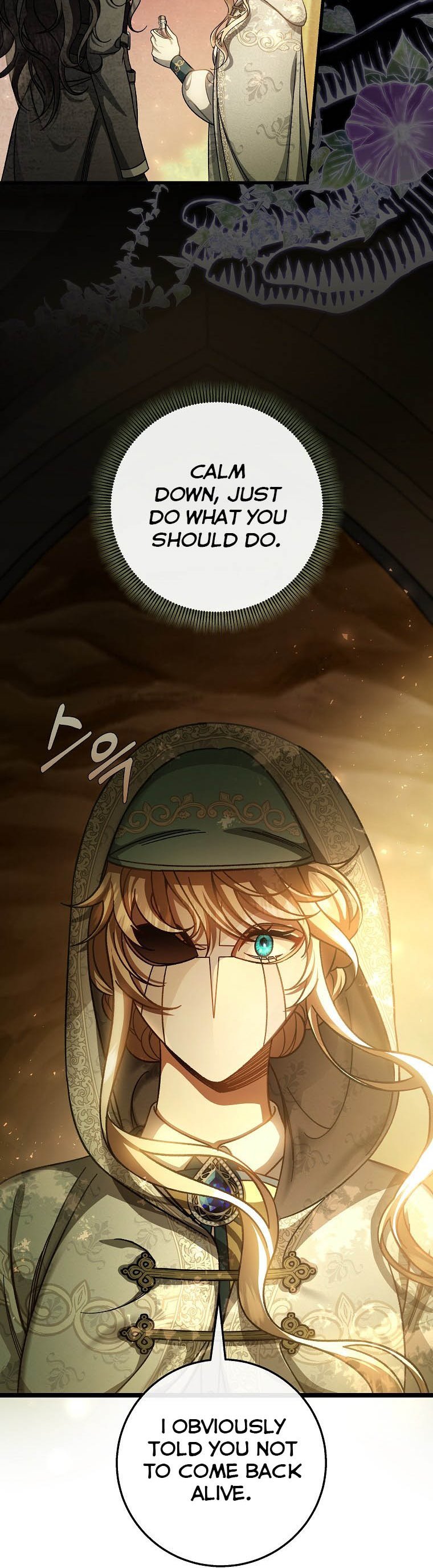 It’s My Destiny To Be The Hero’s Saviour Chapter 35 181 29