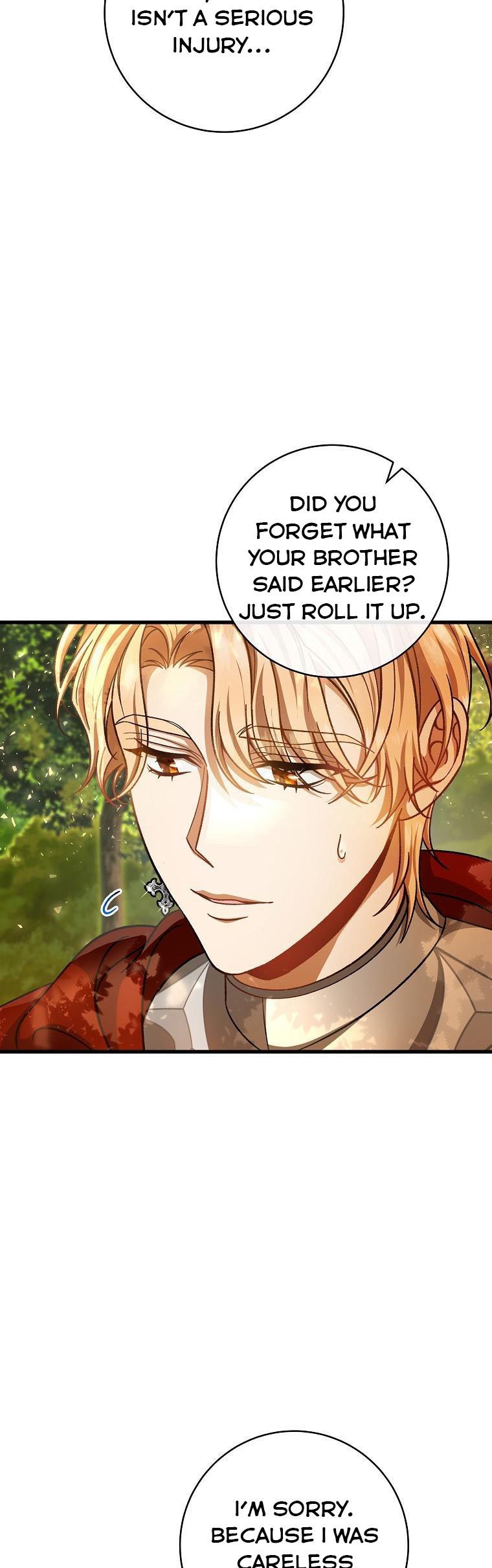 It’s My Destiny To Be The Hero’s Saviour Chapter 43 252 34