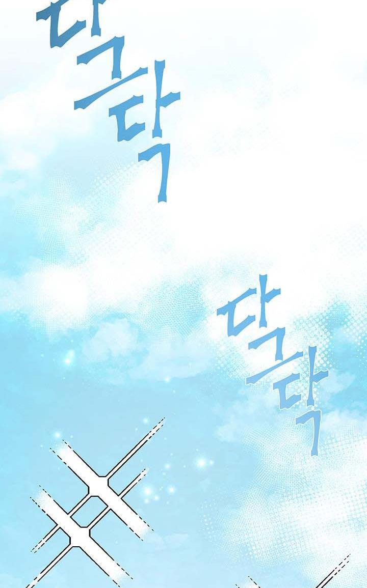 81