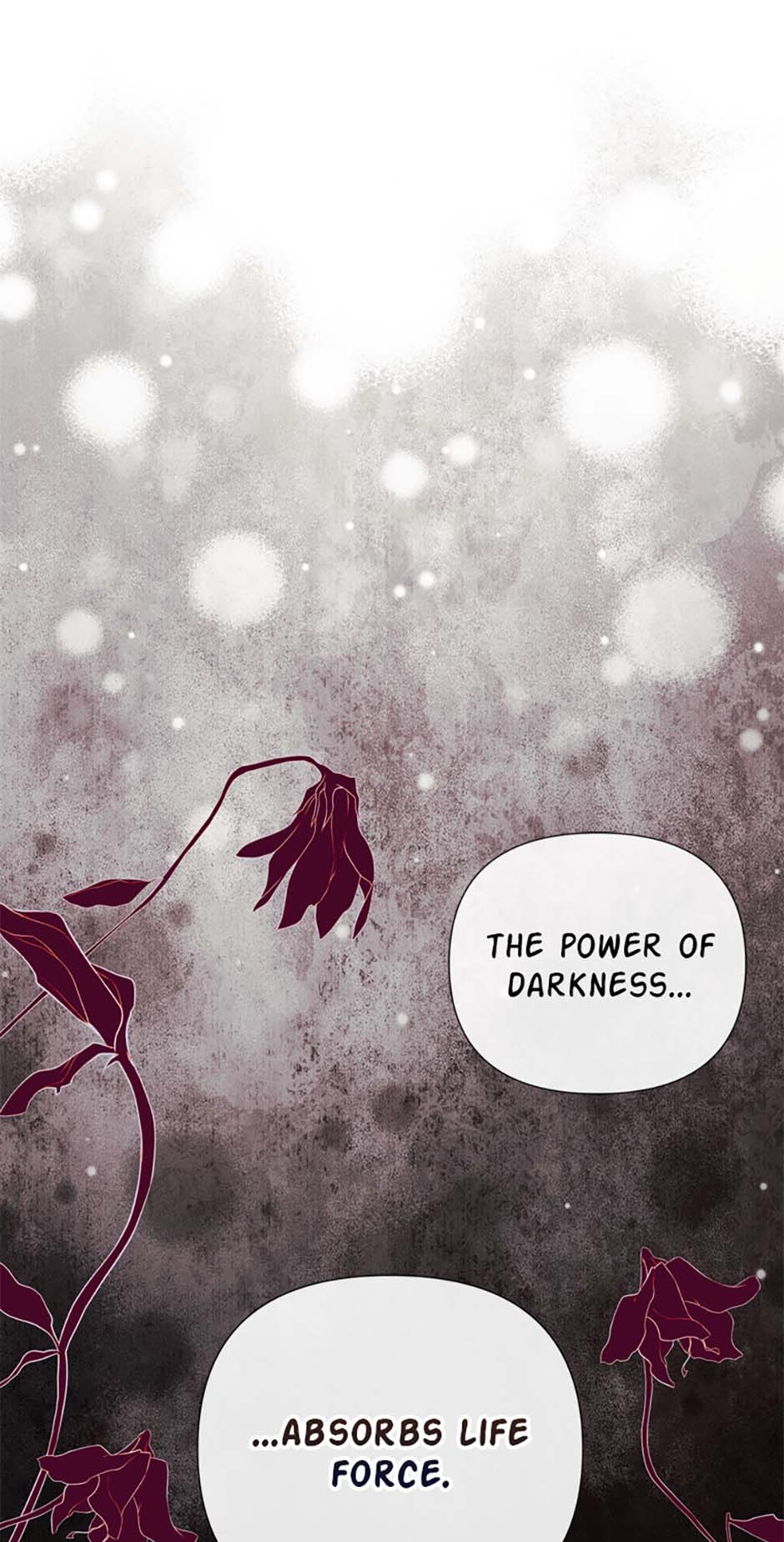 ch 79 50