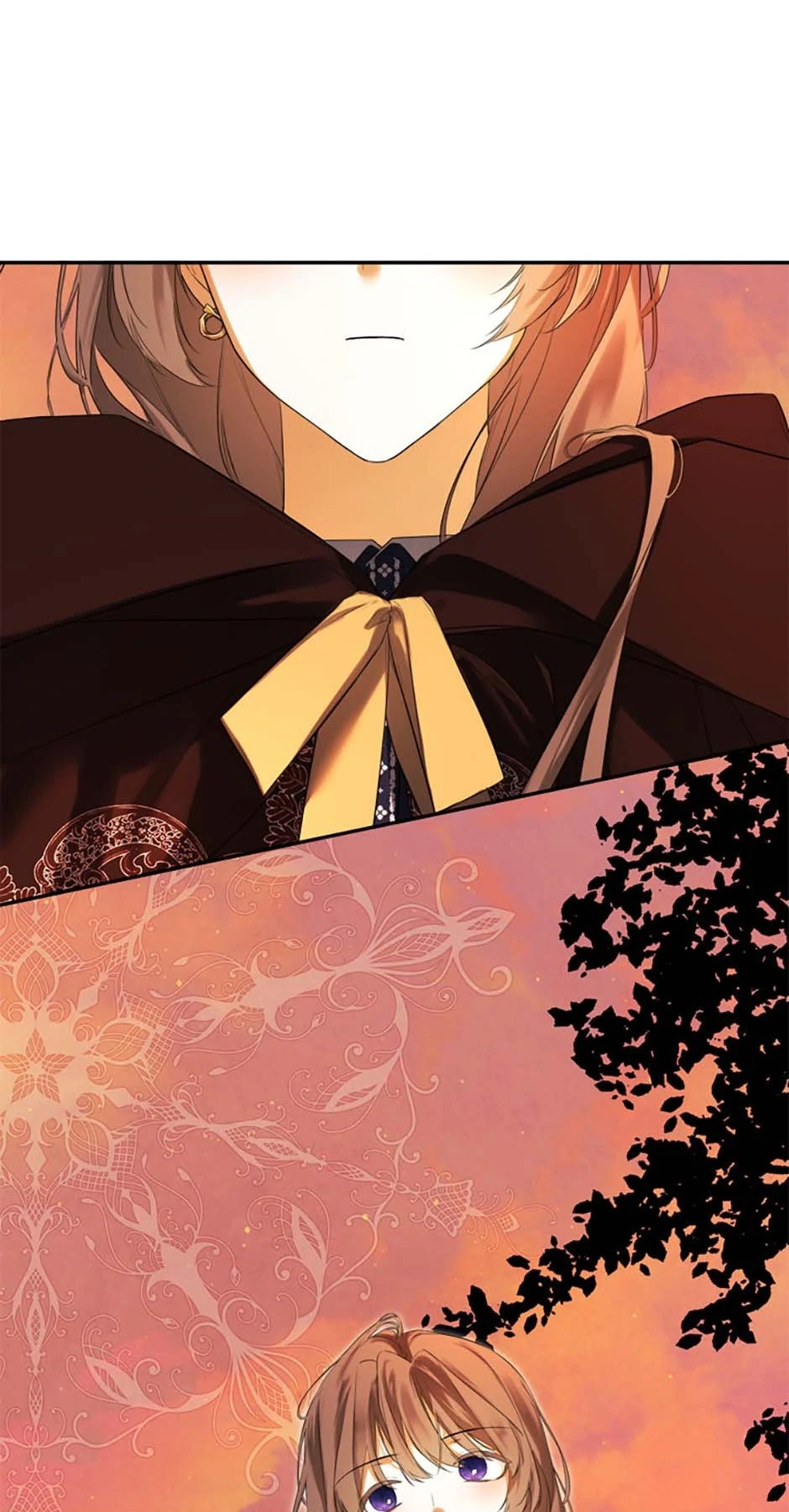 ch 85 2