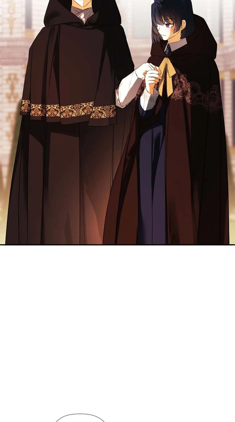 ch 85 28