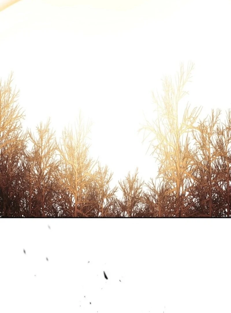 ch 90 103
