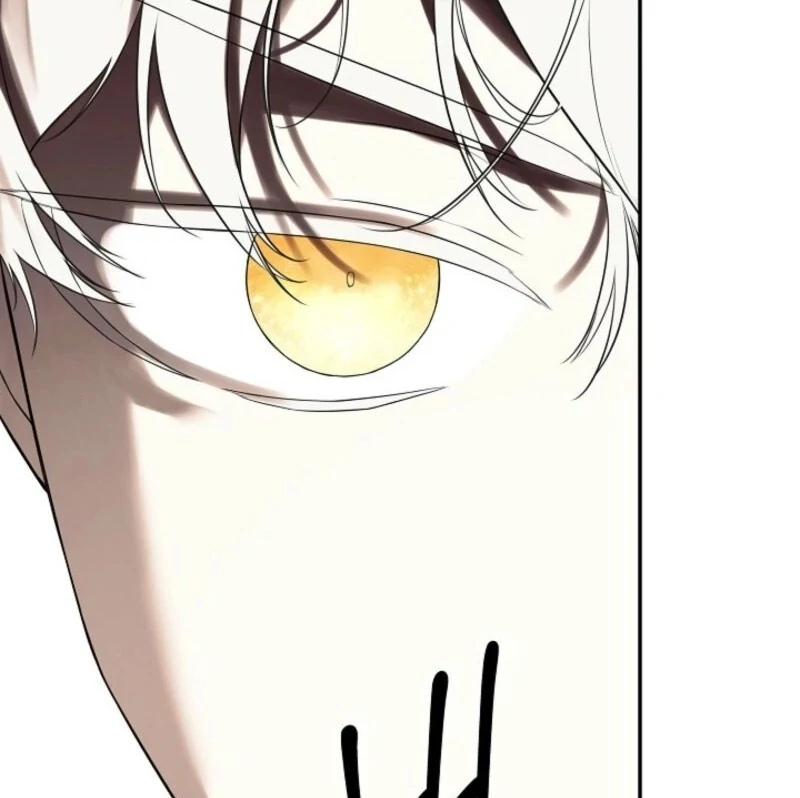 ch 90 94