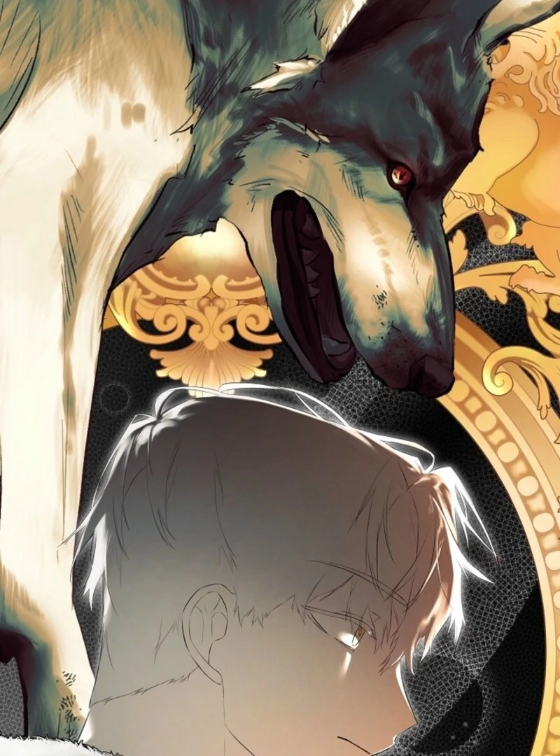 ch 94 29