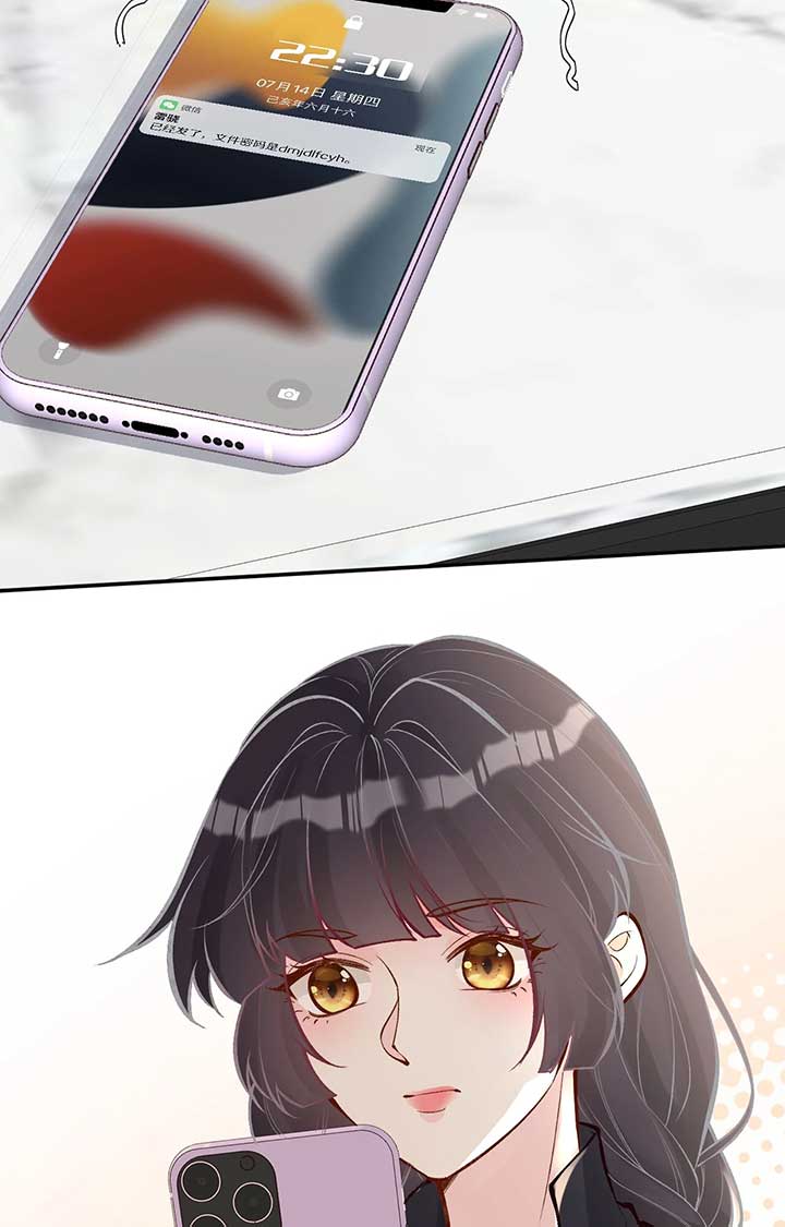 ch 100 28