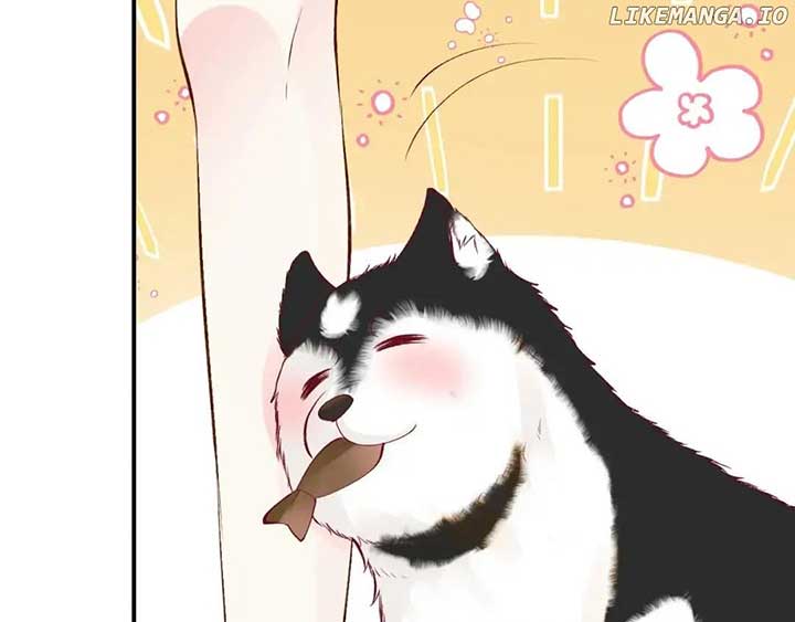 008