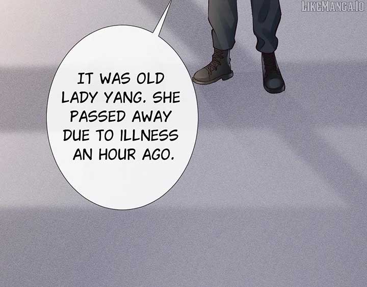 81