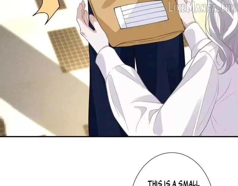 c178818ae5c6