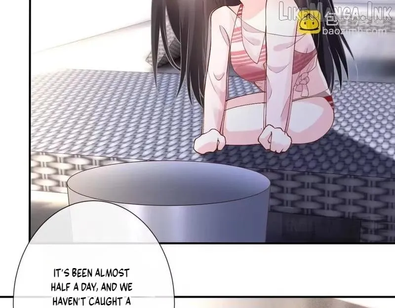 2553e2d27c83