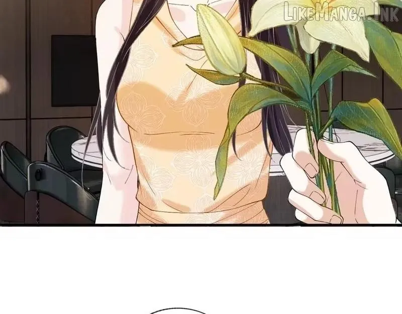 352732b388a6