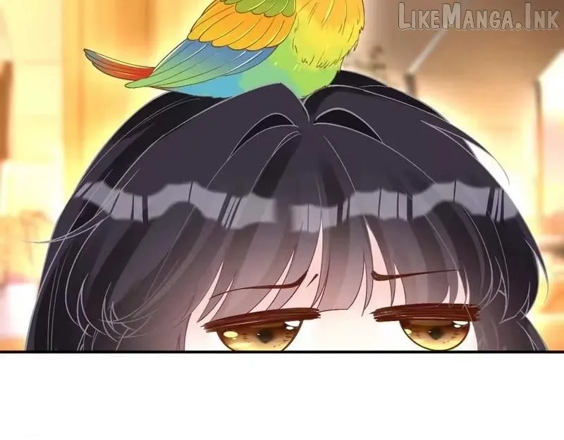 4d8b410ca755