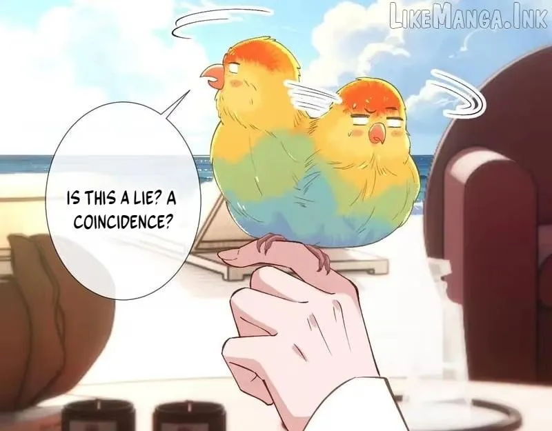81d55639d382