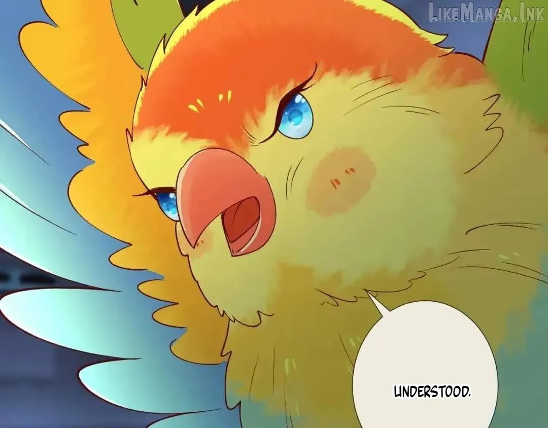 fddbd666f20b