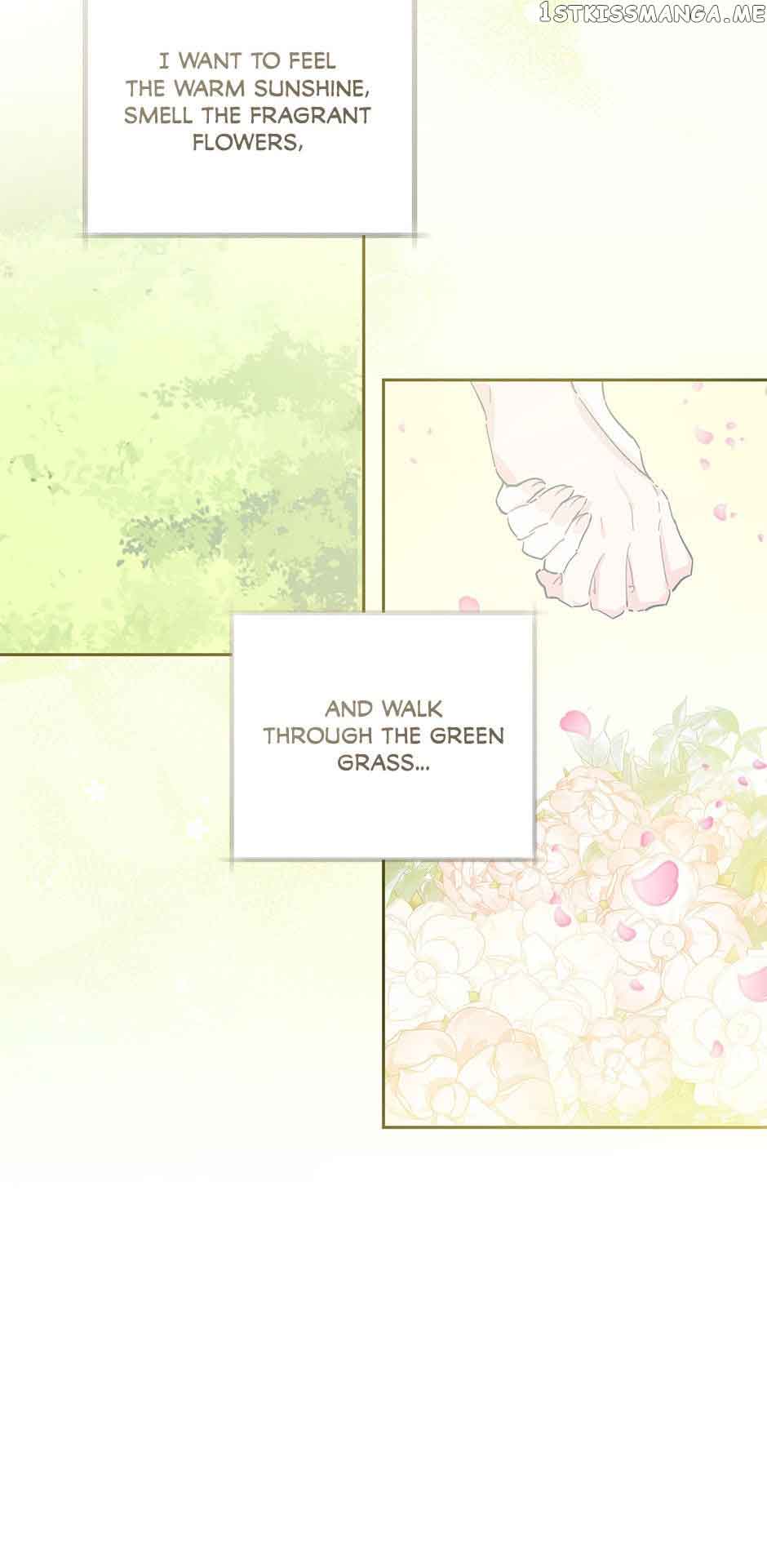 61