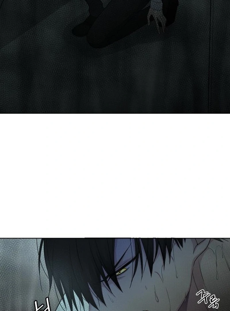 Which Wizard Will Kill Me Chapter 11 299 ch 11 13